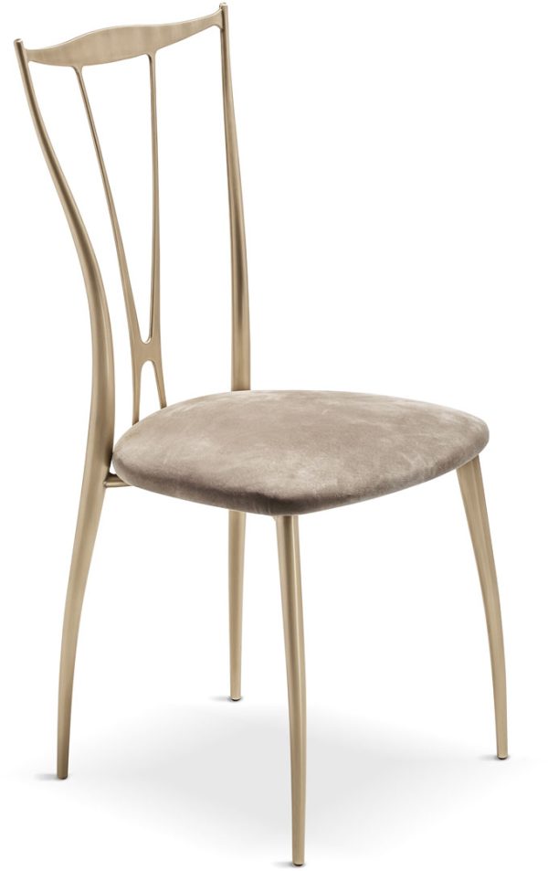 36f3ca4fd173f4075ca4d249f0a842ad 36f3ca4fd173f4075ca4d249f0a842ad