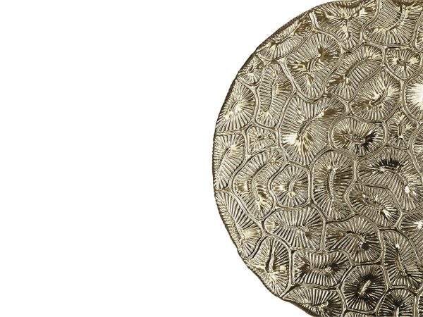 4deb53143103ff24494e92de37902f83 4deb53143103ff24494e92de37902f83