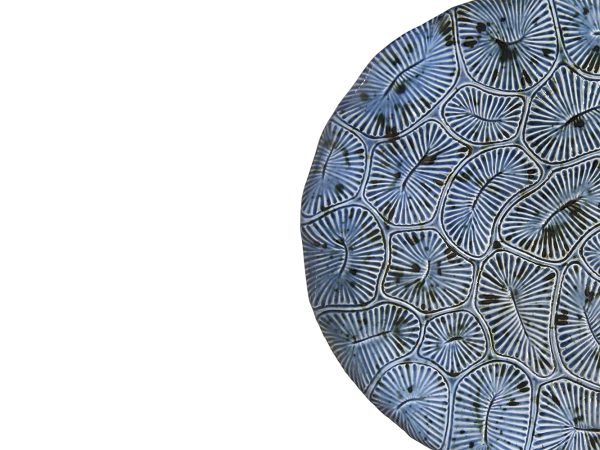 53c0990326db3d1a4bdef72d08294599 53c0990326db3d1a4bdef72d08294599