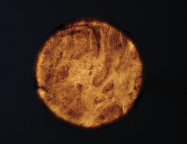 5ada98920fa4516901a4c0cefa84ad69 5ada98920fa4516901a4c0cefa84ad69