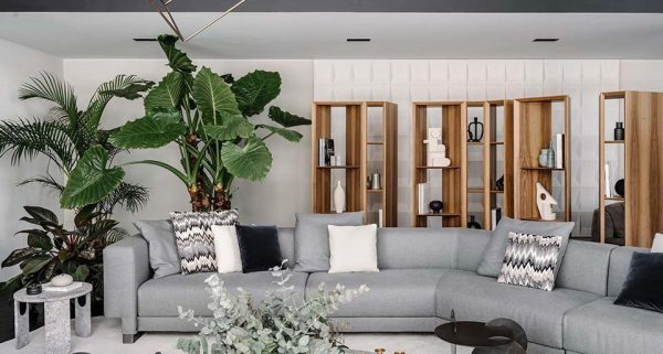 7ac514e1f3987fad983cca43bdbbb281-min 7ac514e1f3987fad983cca43bdbbb281-min