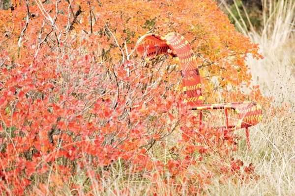 9ba180b30ca1a2d1c2b29abdd9354c24 9ba180b30ca1a2d1c2b29abdd9354c24